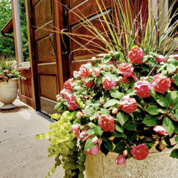 Flowers blooming in front of the entrance door at Our Lady of Guadalupe Shrine in La Crosse, Wisconsin.