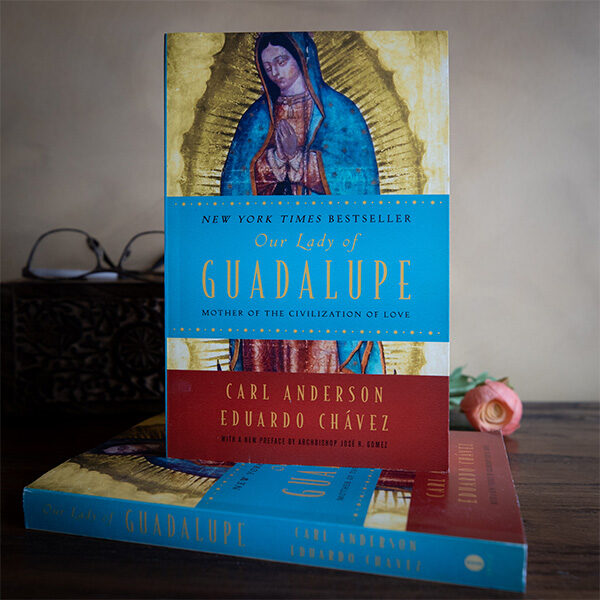 Our Lady of Guadalupe books displayed on a wood table with a pink rose in the background.