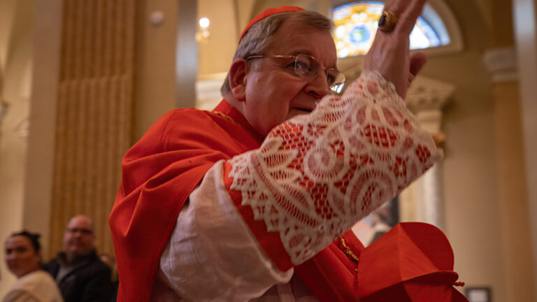 Cardinal Raymond Leo Burke
