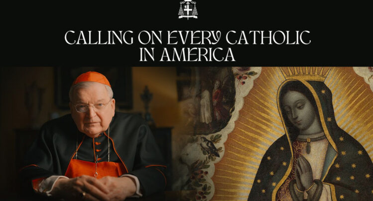 cardinal-burke-calling-on-every-catholic-in-america-novena-prayer-nine-months-our-lady-of-guadalupe