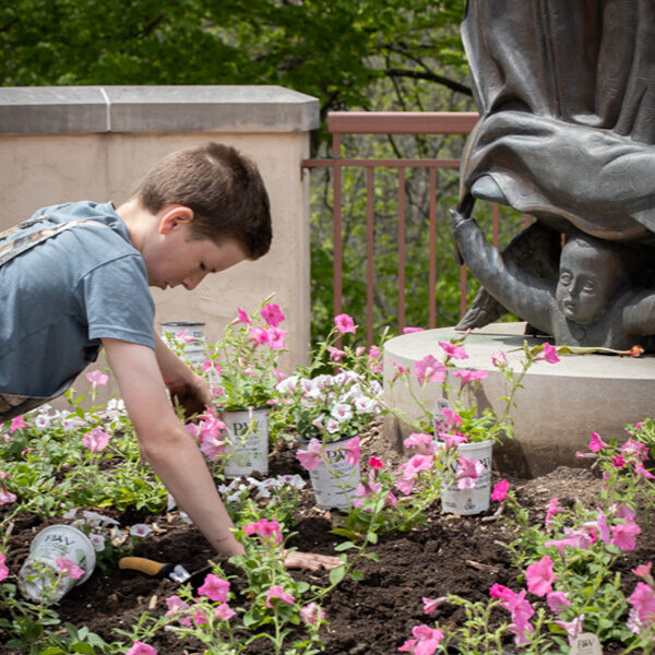 Planting volunteers