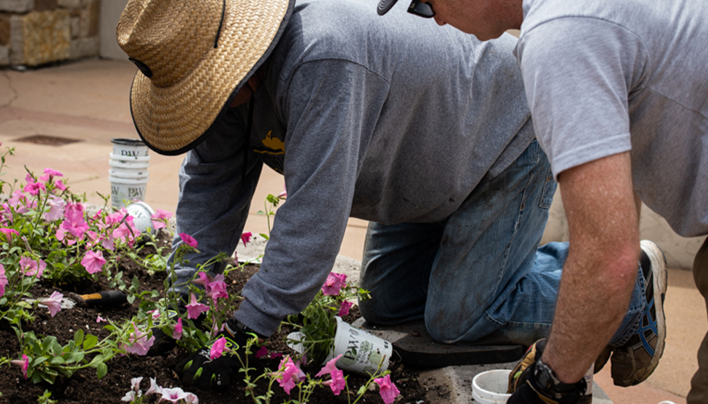 spring planting flower gardens at the Shrine of Our Lady of Guadalupe