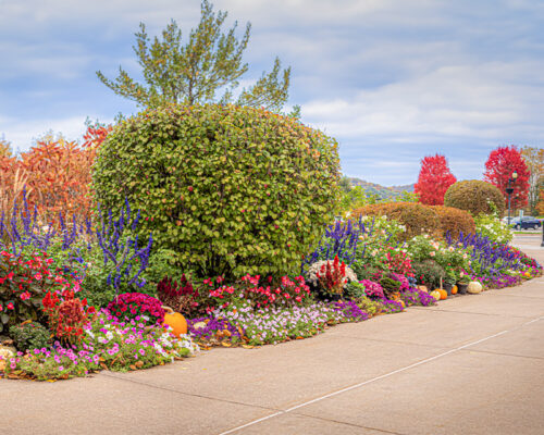 Colorful Shrine Gardens, Fall in the Bluffs