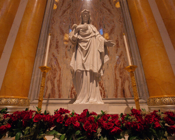 Marble Statue of the Immaculate Heart decorated with roses Marble Statue of the Immaculate Heart decorated with roses