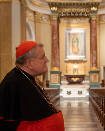 cardinal burke side profile