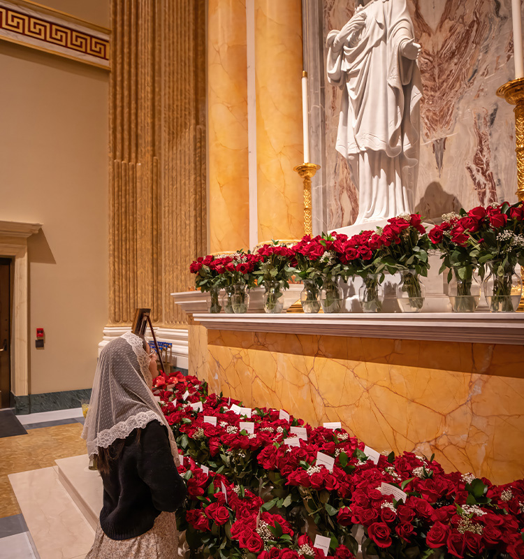 Roses for Our Lady at the Immaculate Heart Side Altar