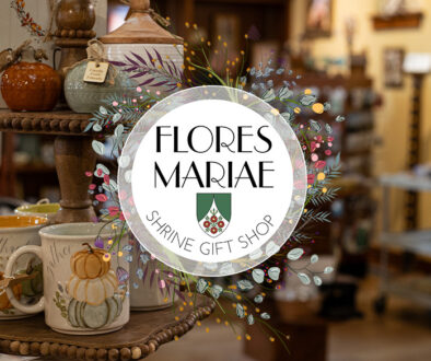 Blog banner - Flores