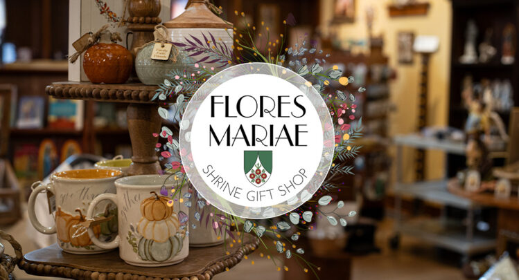 Blog banner - Flores