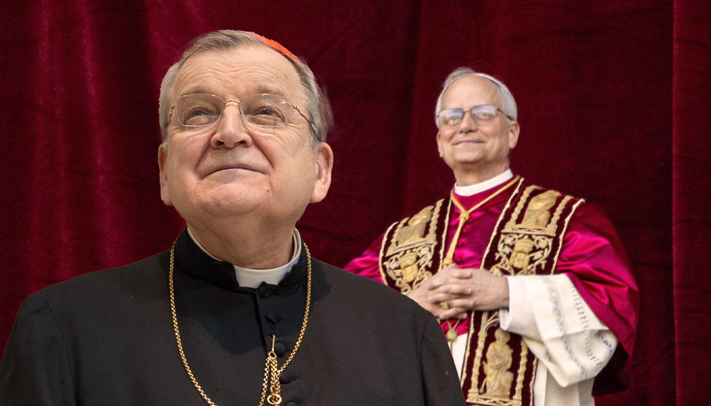 Blog banner Burke & Pope Leo XIV