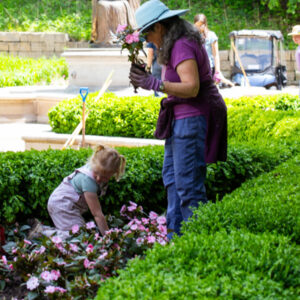 Volunteers planting flowers in the memorial to the unborn at the shrine of our lady of guadalupe