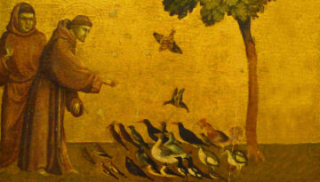 Blog banner Francis Freedom
