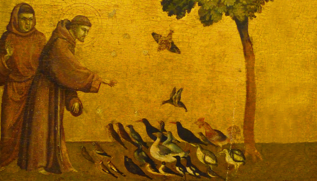 Blog banner Francis Freedom