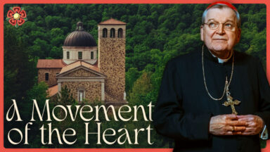 Cardinal Burke’s Invitation to Pilgrimage